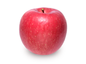aomori apple 蜜入 糖心 富士蘋果 青森蘋果育成計劃 蘋果樹主人 apple tree ownership Japan fruit 日本生果 水果
