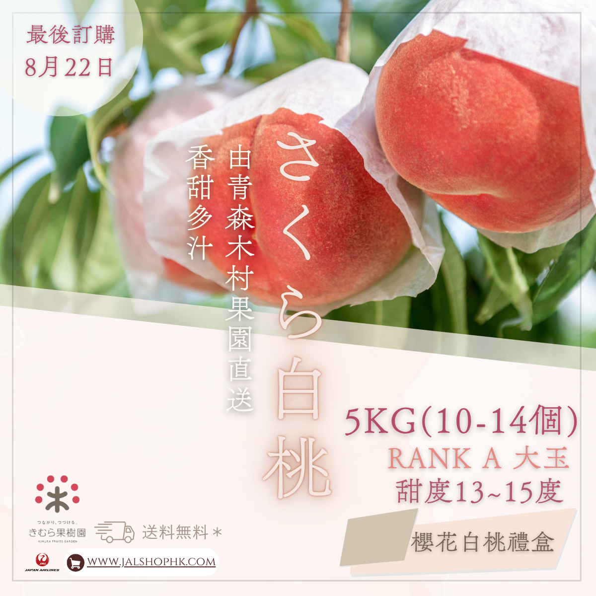 【日本青森縣空運】櫻花白桃 禮盒  (10-14個入)