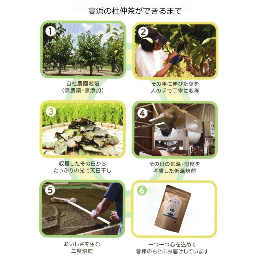 【福井縣】AOBA 天然栽培杜仲茶 60g （3gx20個）