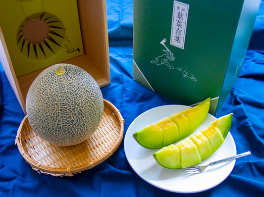 【 Aomori Prefecture】Melon Ownership Program 2024 2 pcs 